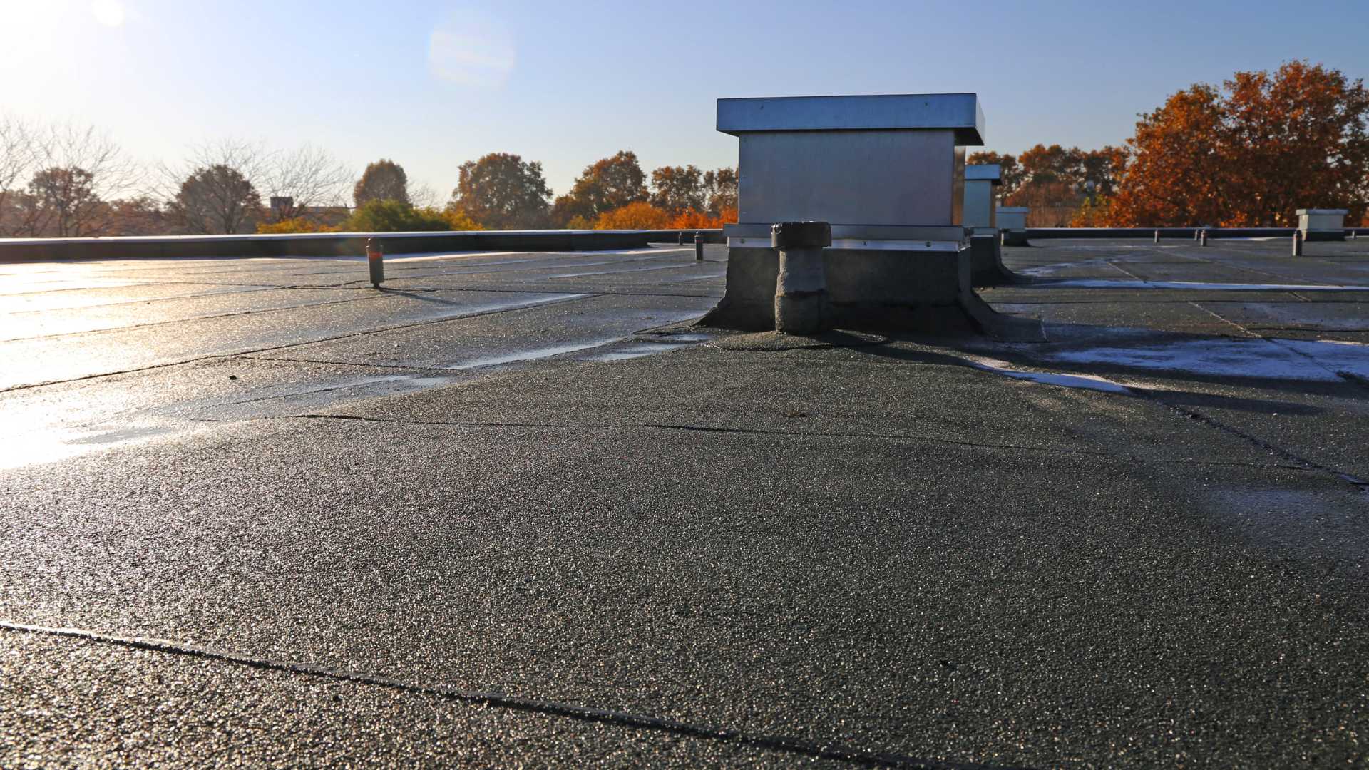 Flat Roofing